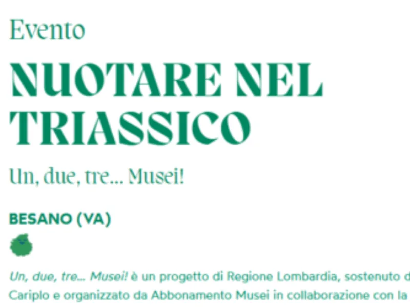 Locandina: Nuotare nel Triassico || Museo dei Fossili di Besano (VA)