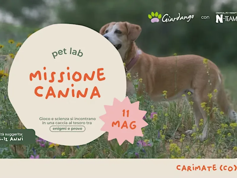Locandina: Pet Lab Missione Canina - Carimate (CO)