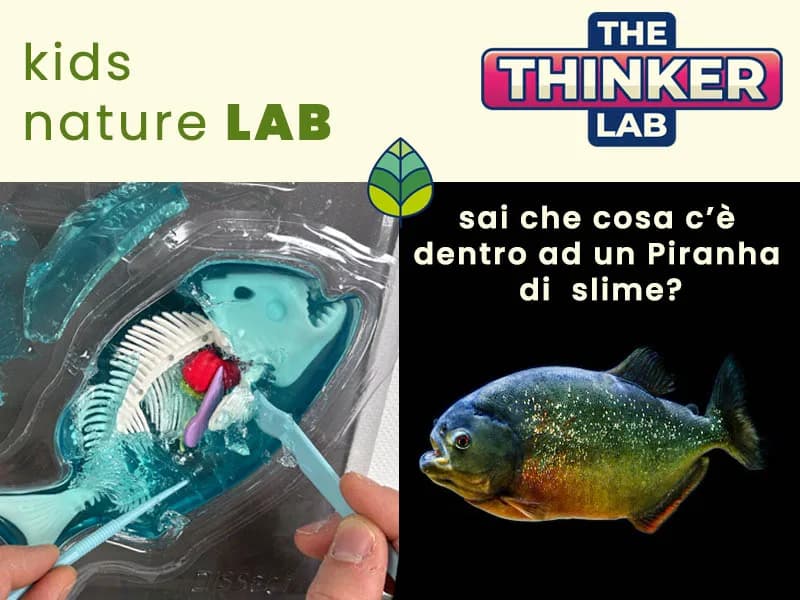 Locandina: "Alla Scoperta del Piranha!" – Thinker Lab, Varese