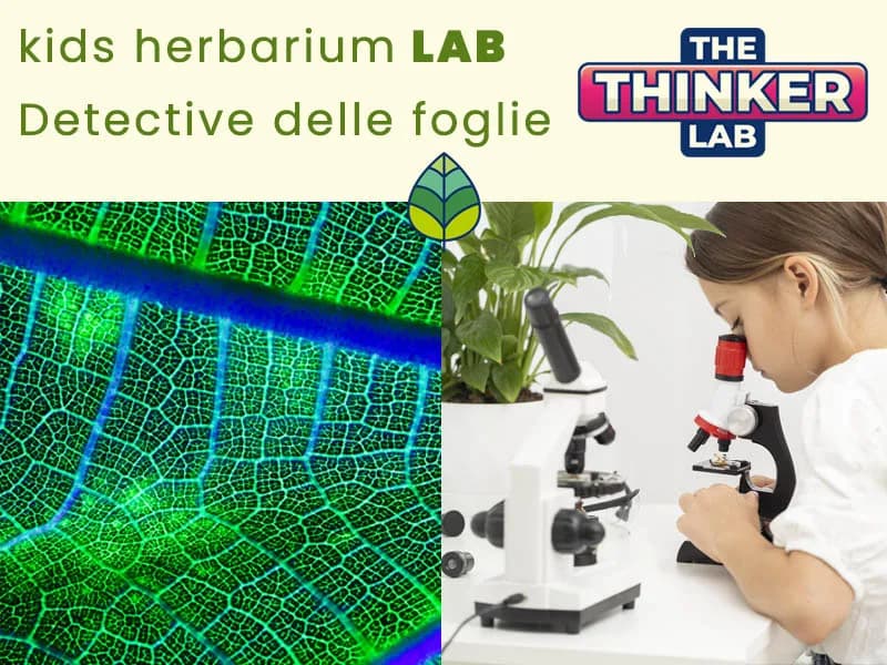 Locandina: Cacciatori Botanici || The Thinker Lab, Varese